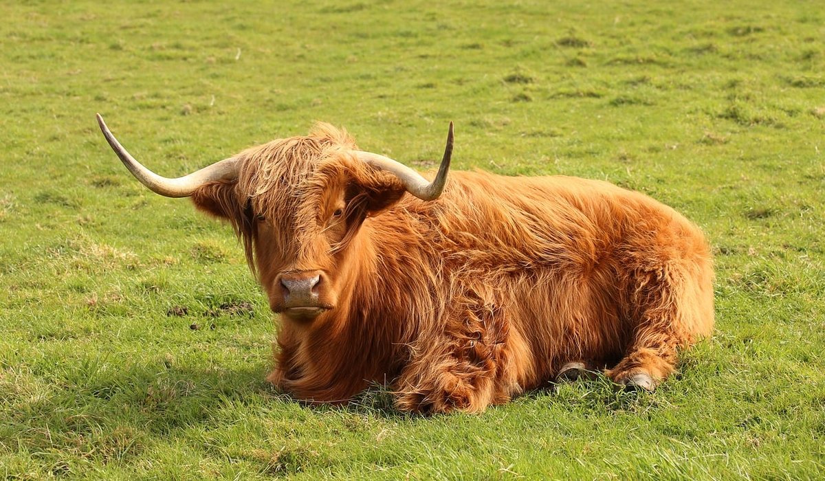 A Guide to Scottish Hill Terms and Features