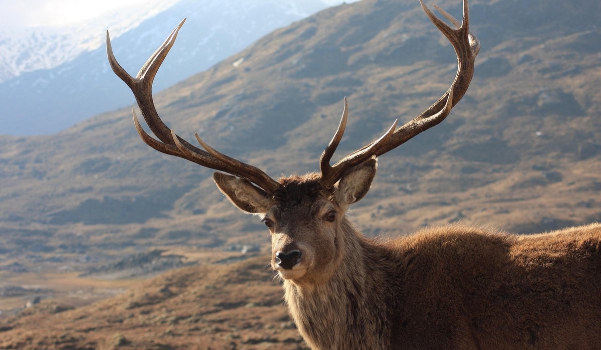 Understanding Cairn Memorials on Scottish Summits